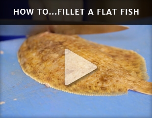 How to Fillet a Plaice