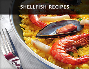 Shellfish Recipes