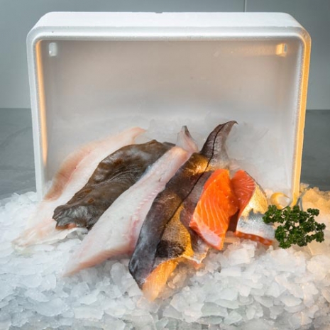 Paddy's Shellfish Box