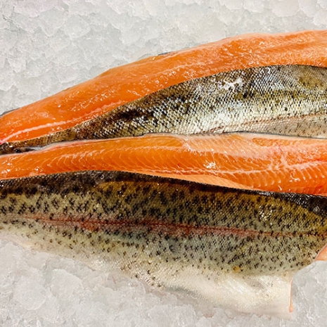 Trout Filleted (4x fillets) 