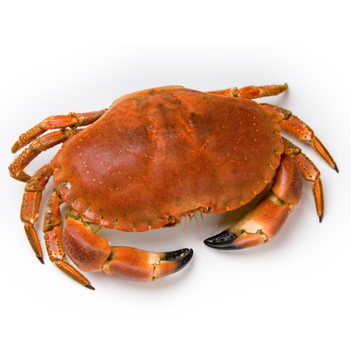 Whole Cooked Manx Crab