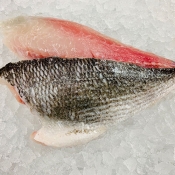 Double Seabream Fillet