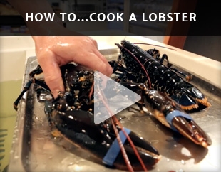 How To Cook A Lobster